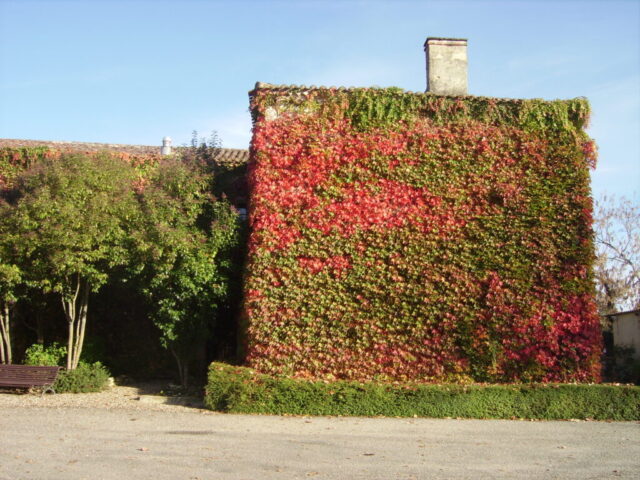Los exteriores de la sede de Gernetic